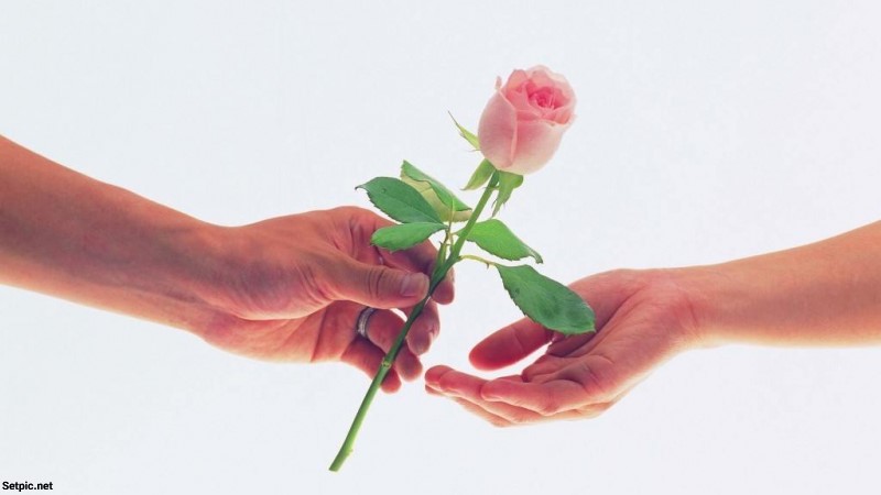 عکس پروفایل هدیه دادن گل