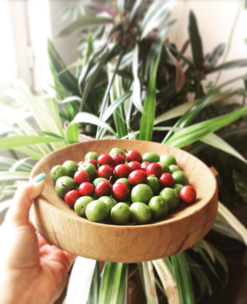 استوری اینستاگرام عکس گوجه سبز و آلبالو