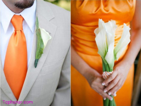 تم های مناسب جشن عروسی,انتخاب بهترین ترکیب رنگ های جشن عروسی